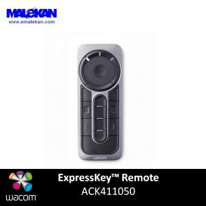 ریموت وکام -Express Key Remote