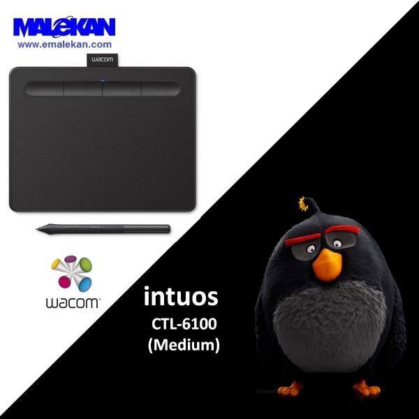 اینتوس مدیوم وکام-Wacom Intuos Medium CTL-6100 